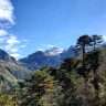 Best of Bhutan Tours and Travels Company