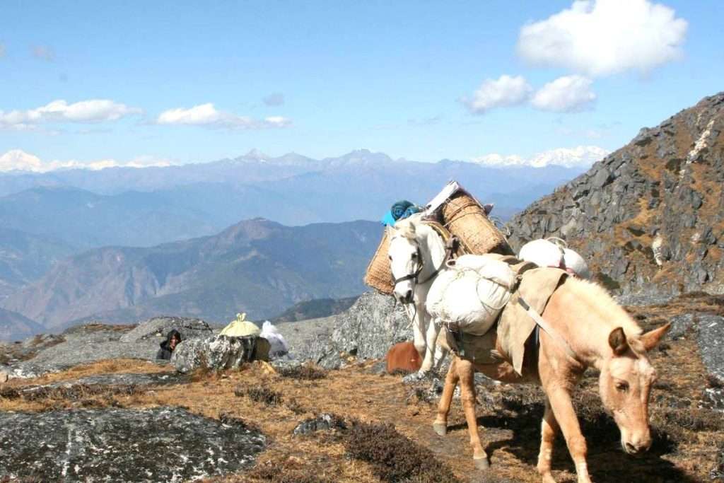 Trans Bhutan Trail Trek