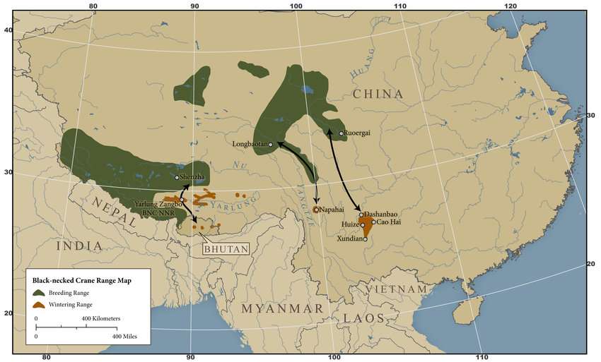 Black Necked Crane Migration Map